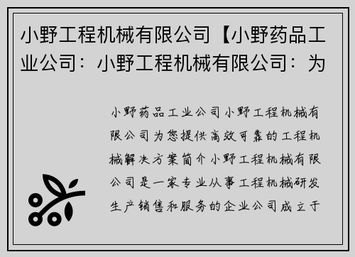 小野工程机械有限公司【小野药品工业公司：小野工程机械有限公司：为您提供高效可靠的工程机械解决方案】