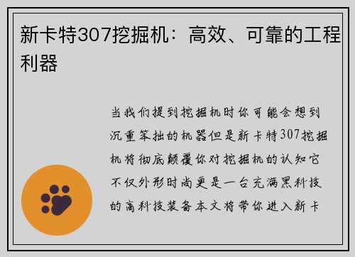 新卡特307挖掘机：高效、可靠的工程利器